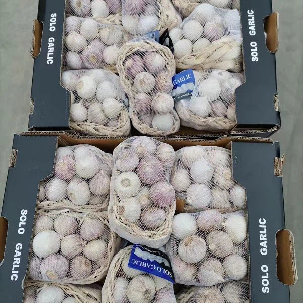 product-600-600