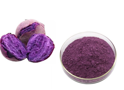 Lila Seet Patato Pulver